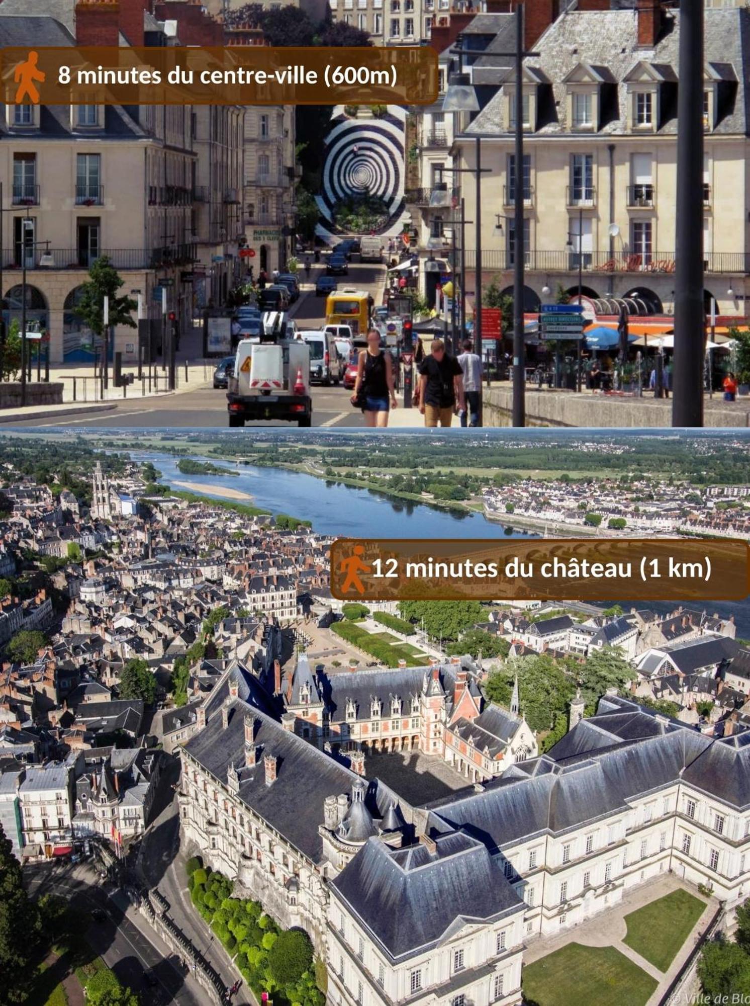 Apartment Maison Royale - Idealement Situee A Blois